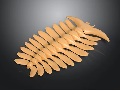 Light Brown Starfish With Curved Arms On Dark Background Showing Natural Shape And Texture 3d model