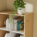Light Wood Bookshelf with Books Potted Plant in Bright Study with Window Desk and Chair