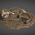Prehistoric Dinosaur Skeleton Fossil Preserved In Rock Matrix With Complete Remains