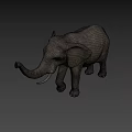 Majestic Elephant Standing With Raised Trunk And Shadow On Beige Background