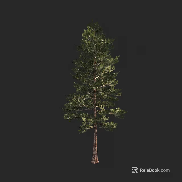 Tall Arbor Tree with Lush Green Leaves and Brown Trunk Isolated on Dark Background 3d model 