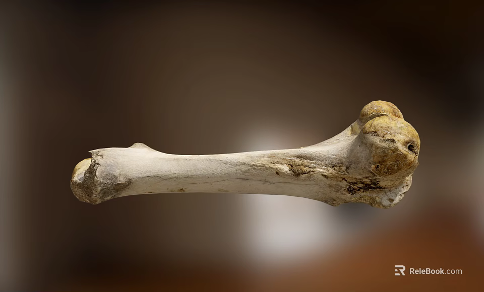 Orthopedic Medical Device For Bone Surgery And Healthcare Applications 3d model 