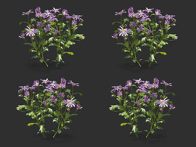 Purple Flowers in Vase with Lush Green Leaves and Various Display Angles 3d model