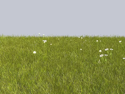 Lush Green Grass Field With White Flowers Blooming In Open Sunlight 3d model
