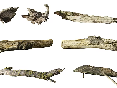 modern root rotten wood rotting wood root combination 3d model