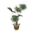 modern potted plant 3d model