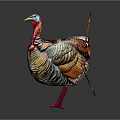 Colorful Turkey With Vibrant Feathers Red Wattle And Spread Tail