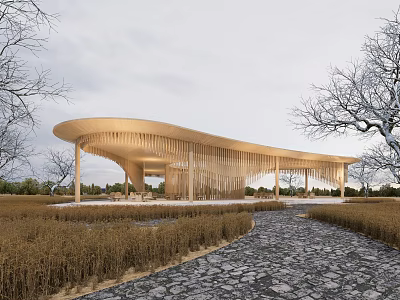 Garden Landscape with Modern Wooden Structure Curved Roof Hanging Strips Stone Path and Trees 3d model