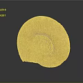 Unique Spiral Fossil Wall Decor with Natural Amber Textured Surface and Elegant Design