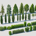 Various Ornamental Trees and Trimmed Shrubs in Different Shapes for Garden Landscaping