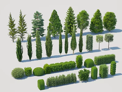 Various Ornamental Trees and Trimmed Shrubs in Different Shapes for Garden Landscaping 3d model