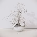 Beautiful Potted Orchid Plant With White Flowers And Green Leaves On Wooden Tabletop