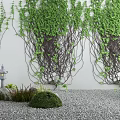 Serene Garden Decor Featuring Green Vines Covered Wall Stone Lantern Small Shrubs And Pebble Ground