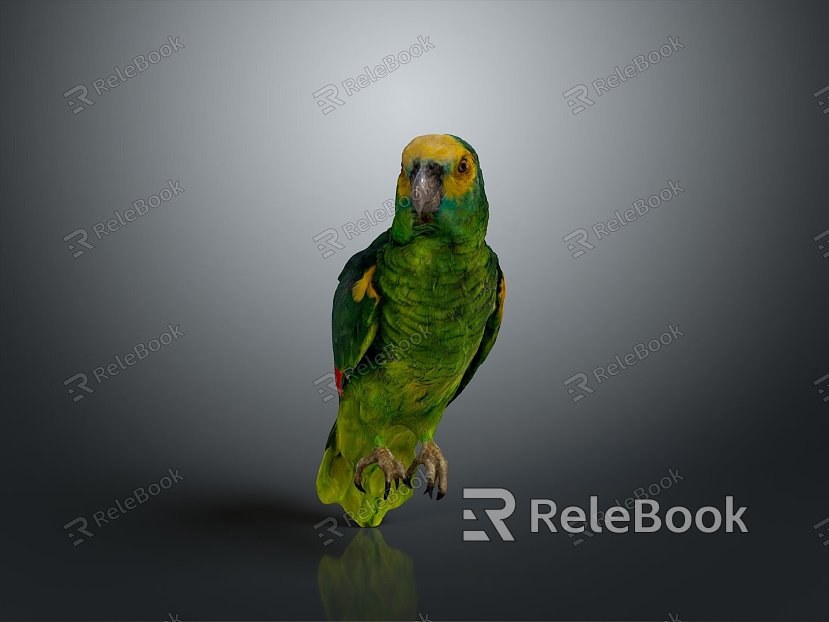 parrot xuanfeng parrot budgerigar monk parrot little sun parrot peony parrot senegal parrot model