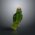 Colorful Parrot With Green Feathers Yellow Head Red Wings Standing On Smooth Surface Gray Background