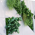 Modern Green Plant Wall Design With White Geometric Panels And Lush Foliage Arrangement