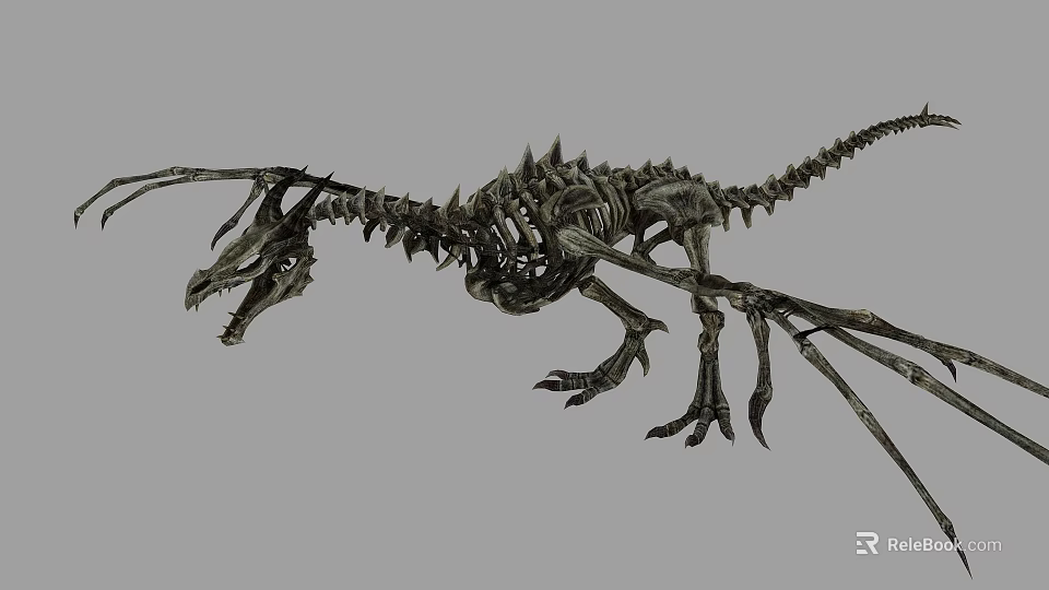 Detailed Prehistoric Dinosaur Skeleton With Long Tail And Wing Bones 3d model 