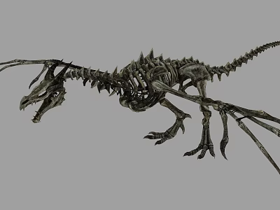 Detailed Prehistoric Dinosaur Skeleton With Long Tail And Wing Bones 3d model