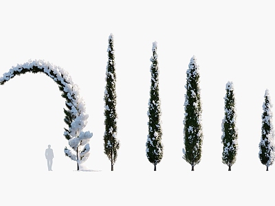 Modern Western cypress tree Western cypress snow tree 3d model