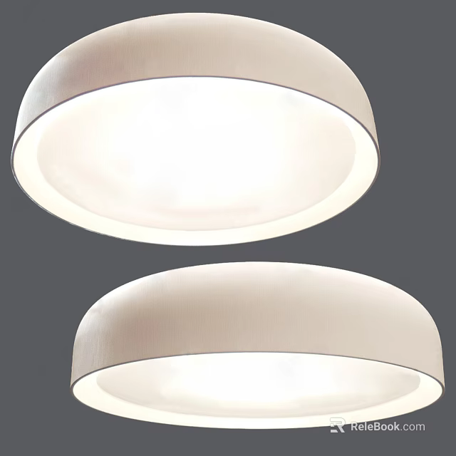 Modern White Round Ceiling Lights With Soft Glowing Design For Home Decor 3d model