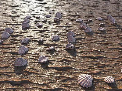 Aquatic Animals Seashells Scattered On Sandy Beach With Ripples And Sunlight 3d model