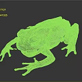 Gray Green Spotted Tree Frog With Open Mouth And Textured Limbs