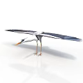 Elegant Egret With Spread Wings And Graceful Posture On White Background