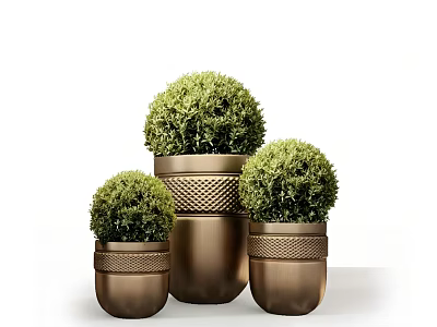 Three Bronze Planters With Round Green Bonsai Plants Different Heights Textured Designs White Background 3d model