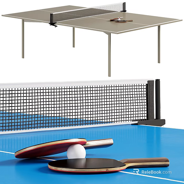 High Quality Sports Equipment For Ping Pong Game Table Paddles Net And Ball 3d model 