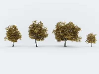 Golden Yellow Leaf Trees With Various Sizes And Dark Trunks In White Background 3d model