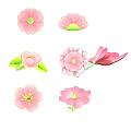 Artistic Pink Blossom Collection With Various Petals Leaves And Floral Details