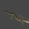 Game Movie Character Crocodile 3D Model With Open Mouth And Crawling Pose On Gray Background