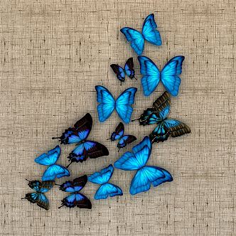 Modern Butterfly Craft 3d model