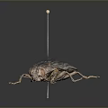Close Up View Of Detailed Pinned Beetle Insect Specimen With Exoskeleton