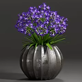 Purple Flower Potted Plant with Lush Green Leaves in Silver Striped Decorative Pot