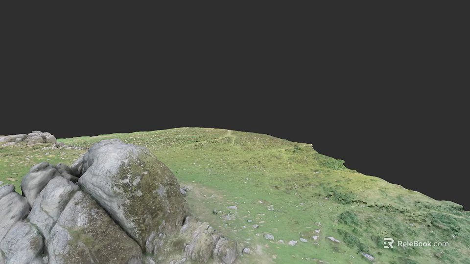 Natural Microtopography With Green Grassland Scattered Rocks And Winding Path 3d model 