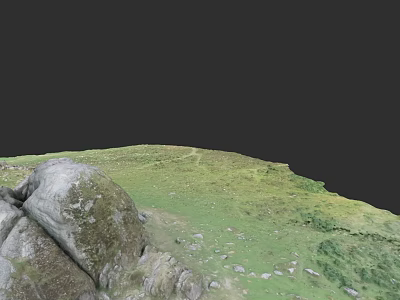Natural Microtopography With Green Grassland Scattered Rocks And Winding Path 3d model