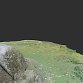 Natural Microtopography With Green Grassland Scattered Rocks And Winding Path