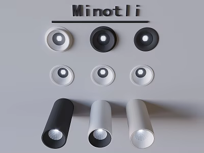 Minotli Modern Downlights And Spotlights With Sleek Black White Design Styles 3d model