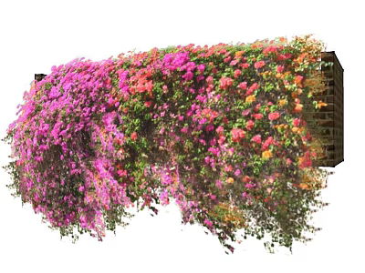Climbing Vines Covering Brick Wall With Colorful Pink Red And Yellow Flowers 3d model