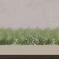 Potted Green Grass And White Flowers In Rectangular Planter On Wooden Floor 3d model