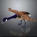 Realistic 3D Duck Model With Spread Brown Wings Blue Neck And Blue Feet