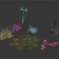 Modern Scene Plant Decoration Featuring Brown Flowers Green Grasses Water Lily Leaves And Purple Blooms