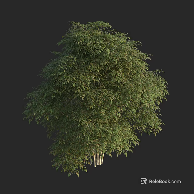 Tall Tree With Lush Green Foliage And Thick Trunk In Natural Scene 3d model 