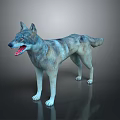 Realistic 3D Reptile Model With Gray Skin Open Mouth Standing On Black Background