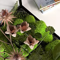 Decorative Ornament Set With Small And Large Glass Greenhouse Terrariums Plants And Stacked Books