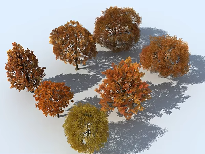 Autumn Colored Trees With Vibrant Foliage In Grouped Arrangement And Shadows 3d model