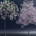 Two Flowering Arbor Trees With White Pink Blossoms Against Dark Blue Background