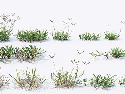 modern grass weed 3d model modern grass weed 3d model