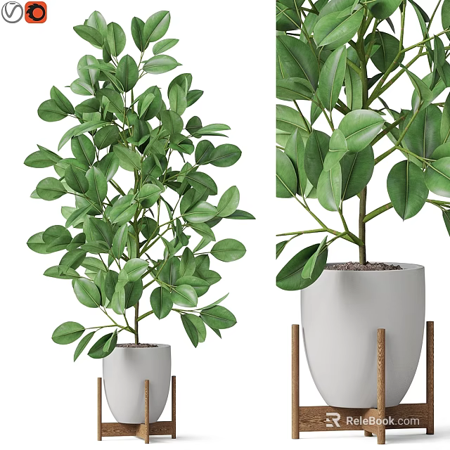 Indoor Garden Decor Green Leafy Plant In White Planter With Wooden Stand 3d model 